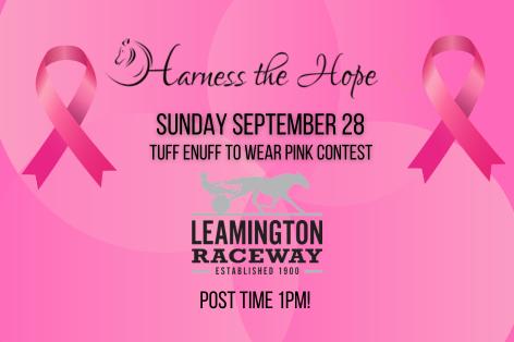 Harness The Hope