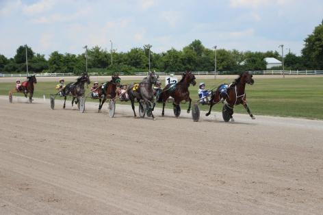 Harness Racing Update
