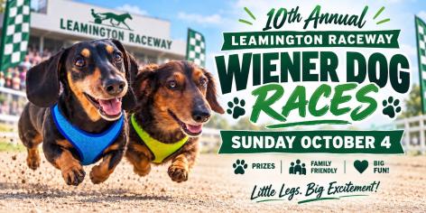 Wiener Dog Races